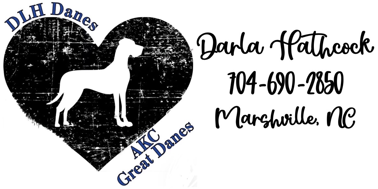DLH Danes